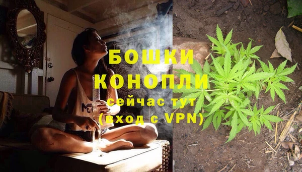 дживик Ладушкин