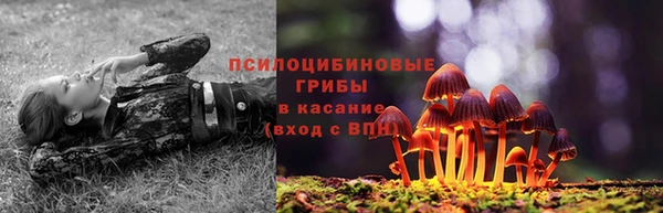 дживик Ладушкин
